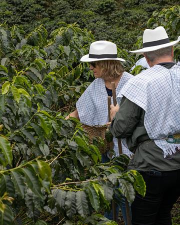 La Divisa De Don Juan