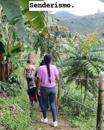 Nature Tours And Adventure